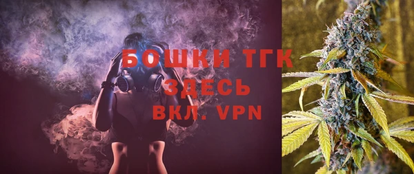 стаф Верхний Тагил