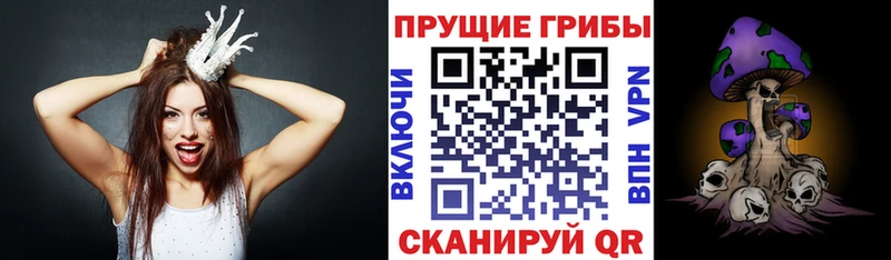 где найти наркотики  Афипский  Псилоцибиновые грибы мухоморы 